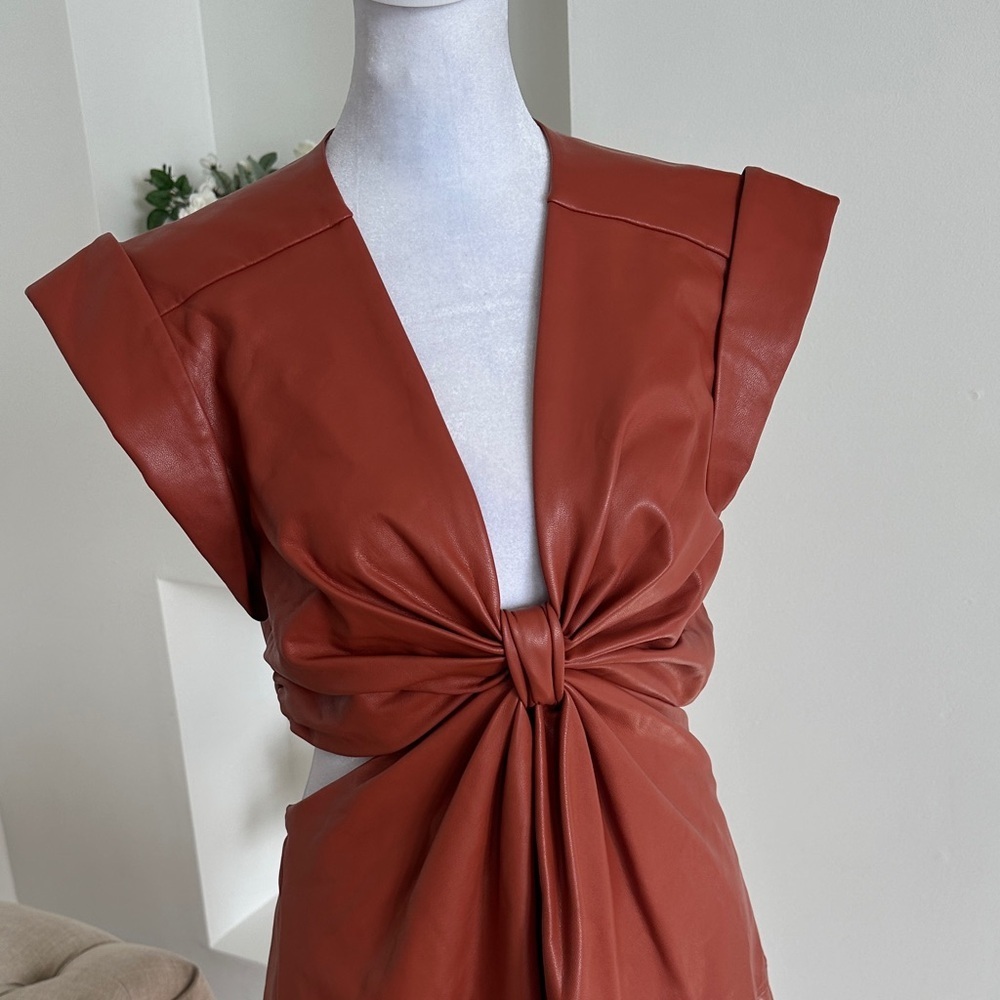 A.L.C. Rust Mini Dress - Picture 4 of 12